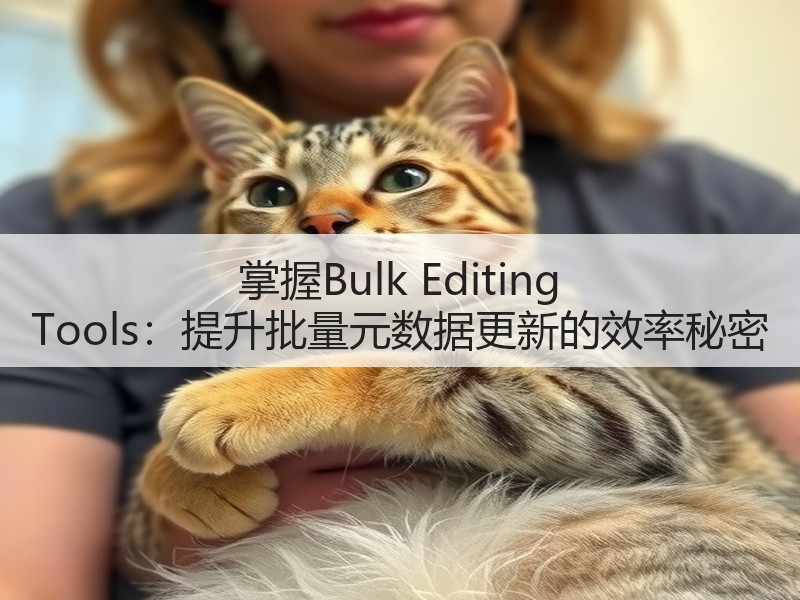 掌握Bulk Editing Tools:提升批量元数据更新的效率秘密(图1) 掌握Bulk Editing Tools:提升批量元数据更新的效率秘密(图1)