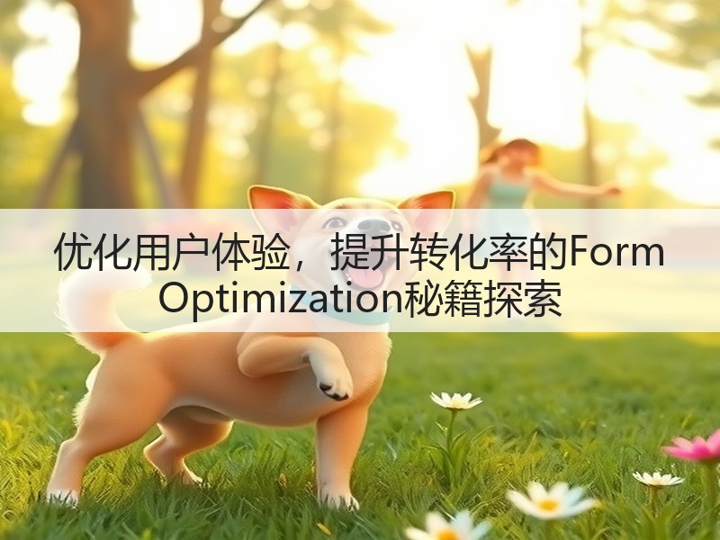 优化用户体验,提升转化率的Form Optimization秘籍探索(图3) 优化用户体验,提升转化率的Form Optimization秘籍探索(图3)