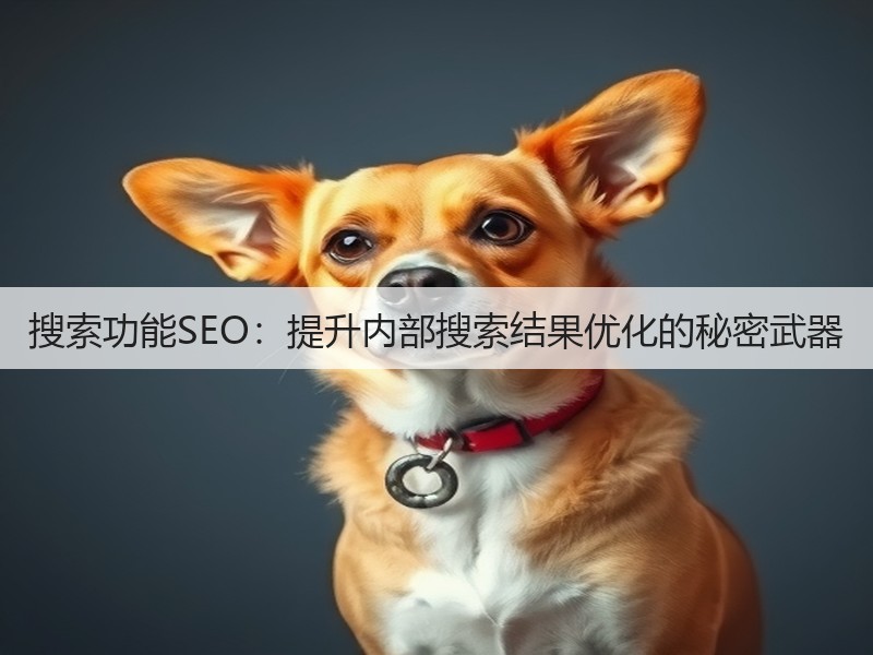 搜索功能SEO:提升内部搜索结果优化的秘密武器(图3) 搜索功能SEO:提升内部搜索结果优化的秘密武器(图3)
