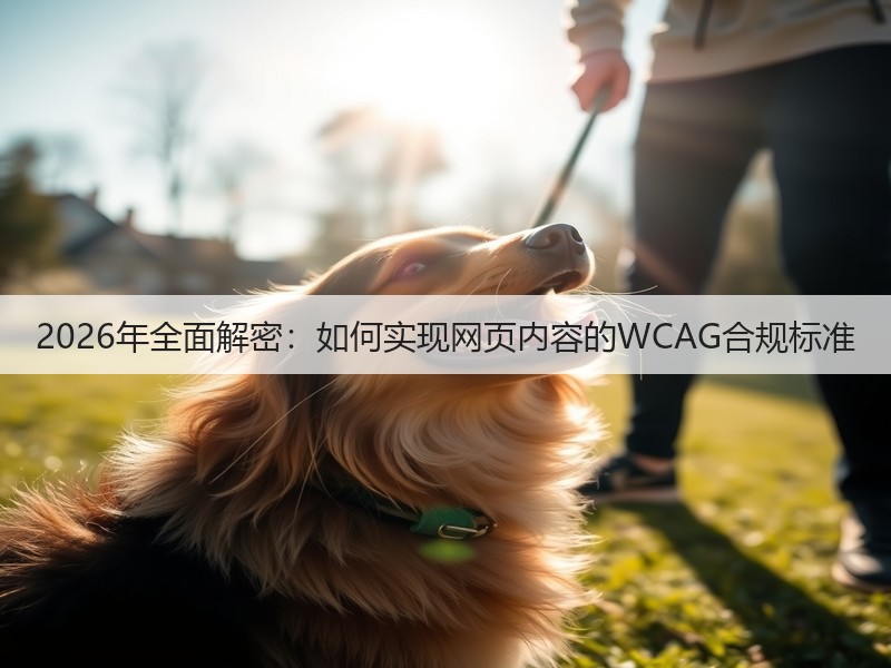 2026年全面解密:如何实现网页内容的WCAG合规标准(图1) 2026年全面解密:如何实现网页内容的WCAG合规标准(图1)