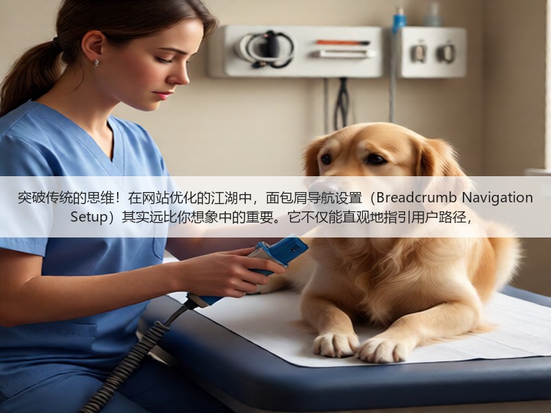 突破传统的思维!在网站优化的江湖中,面包屑导航设置(Breadcrumb Navigation Setup)其实远比你想象中的重要。它不仅能直观地指引用户路径,(图1) 突破传统的思维!在网站优化的江湖中,面包屑导航设置(Breadcrumb Navigation Setup)其实远比你想象中的重要。它不仅能直观地指引用户路径,(图1)