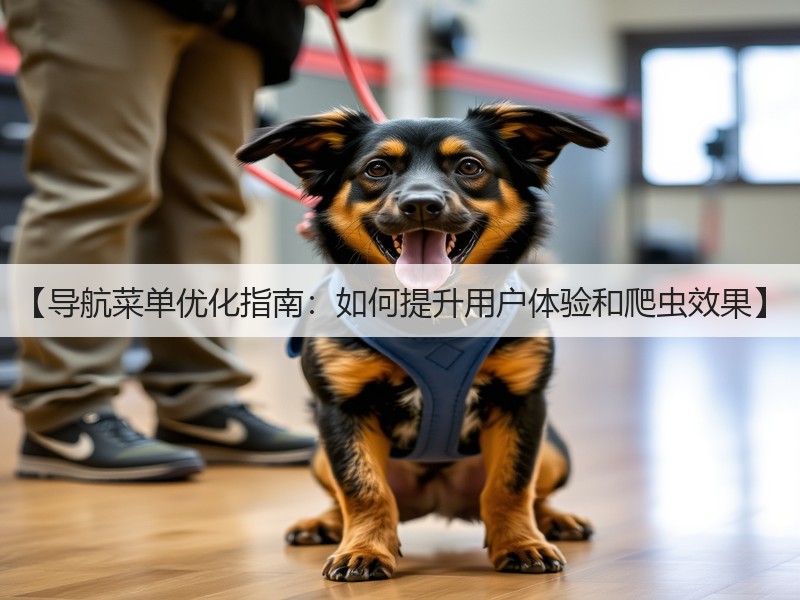 【导航菜单优化指南:如何提升用户体验和爬虫效果】(图2) 【导航菜单优化指南:如何提升用户体验和爬虫效果】(图2)